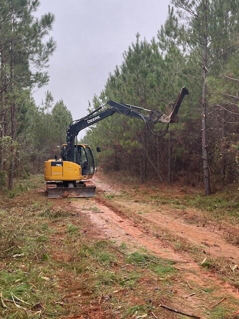 Land Clearing Longview