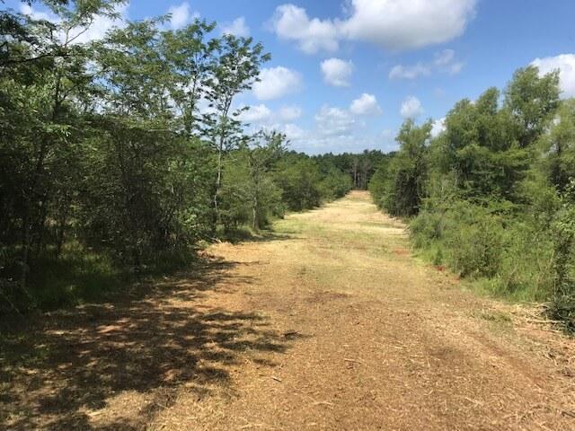 Land Clearing East Texas