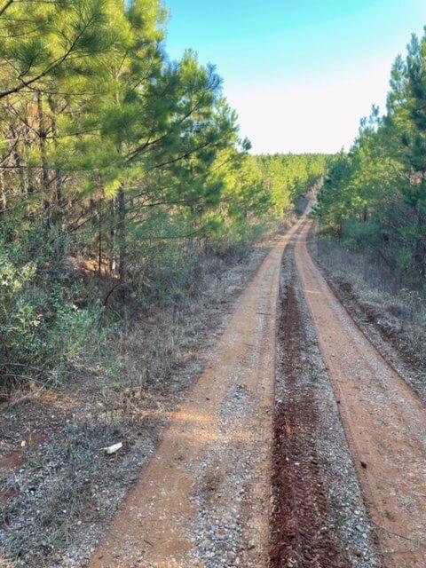 Tree Clearing Near Me