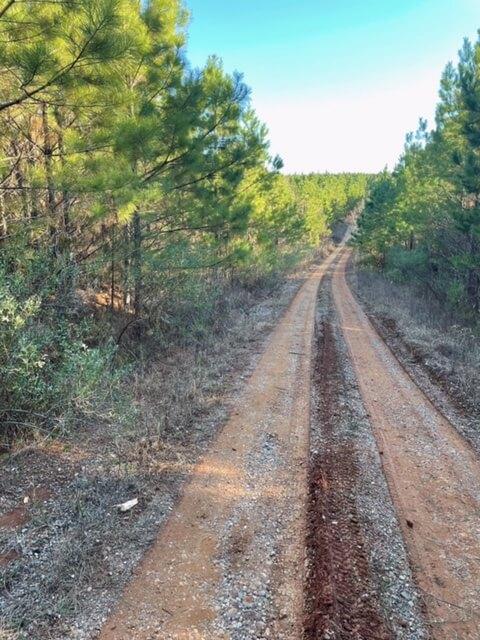 Underbrush Clearing And Mulching Longview