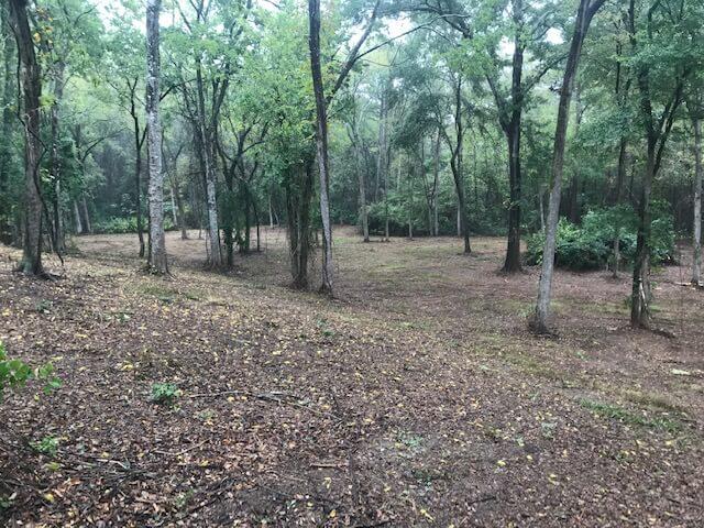 Land Clearing East Texas