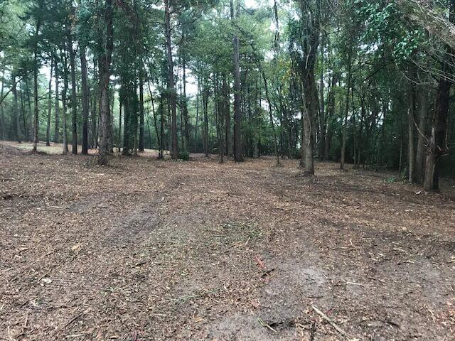 Land Clearing Longview