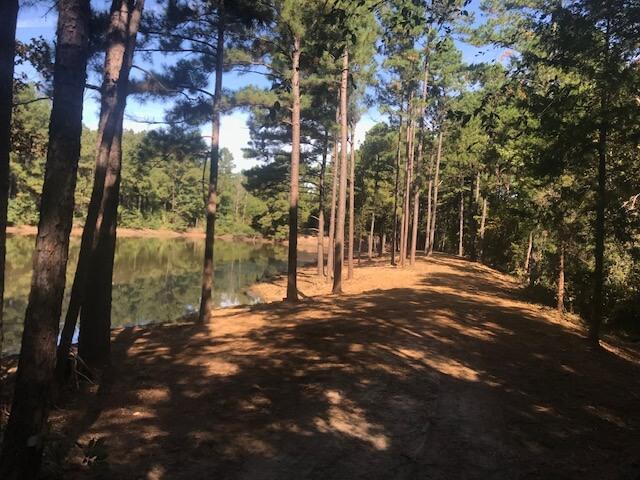 East Texas Land Clearing Pros Land Clearing