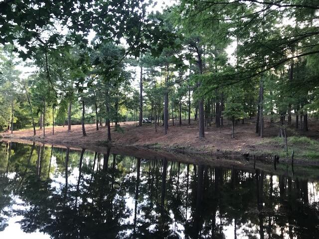 Underbrush Clearing And Mulching Longview