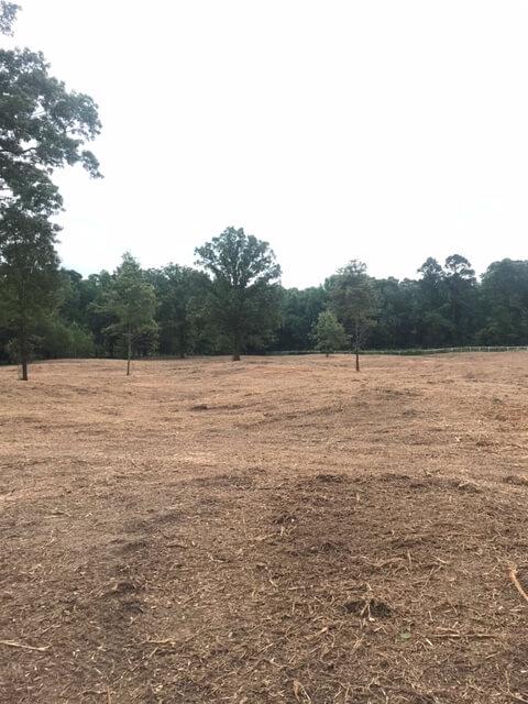 Land Clearing East Texas