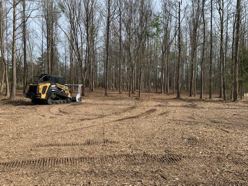 East Texas Land Clearing Pros Underbrush Clearing